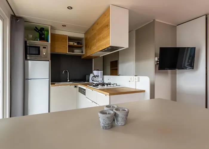 Muschel 59 Scharbeutz